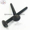 Anti-Theft Screw/Adjusting Screw/Self-Tapping Screw/Drywall Screw with High Quality